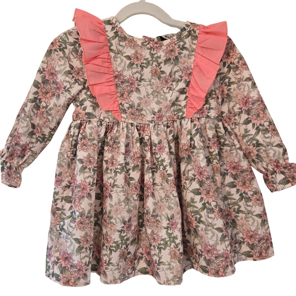 Dolly Wears Toddler Girls Floral Ruffle Dress Pink Rose Long Sleeve 18-24 Months